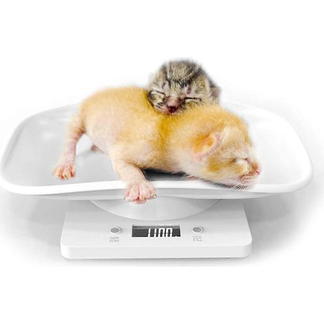 Balance pour petits animaux (chats et chiens), balance électronique pour chiots, balance de cuisine, balance numérique portable avec plateau pour l'éclosion et le pesage des aliments des petits animau (1/5)