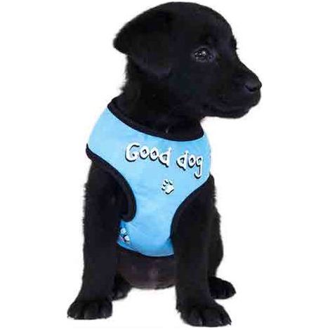 Harnais tee-shirt chien fantaisie doogy bleu "Good Dog" Taille : S