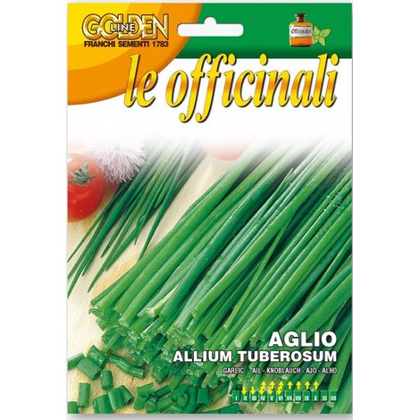 AGLIO ALLIUM TUBEROSUM FRANCHI SEMENTI