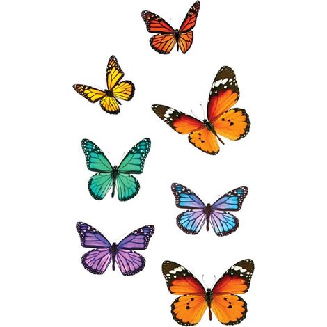 Adhésifs de vitres papillons (1/2)