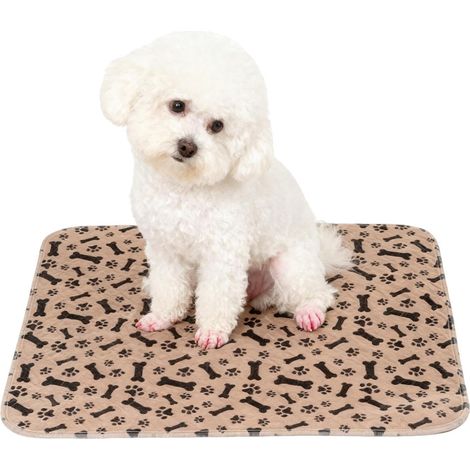 Alèses Lavables pour Chien Tapis Absorbant Réutilisable Protections Urinaires Anti Odeur Anti Dérapage pour Chiots pour Le Dressage À La Propreté en Intérieur Caisse Balcon Voiture Chenil (1/5)
