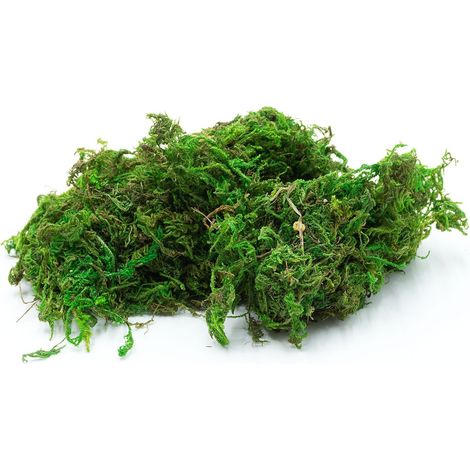 Musgo seco para terrario, color natural, 50g (1/5)