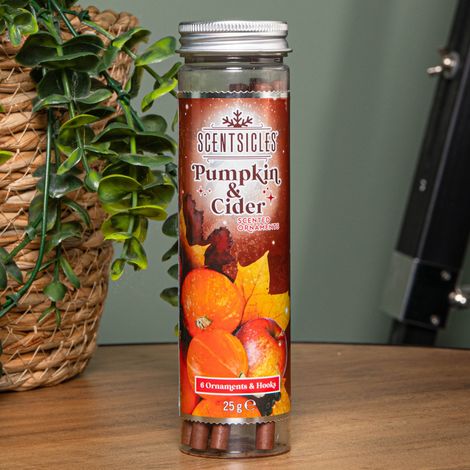 25g Pumpkin and Cider Scented Christmas Scentsicles with 6 Hanging Hooks (1/5)