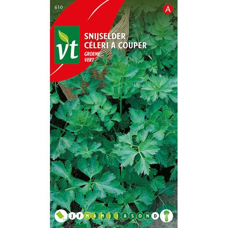 Cèleri à Couper Vert - Ca. 3 gr (Livraison Gratuite) (1/2)
