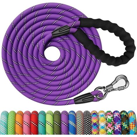 Longe pour Chien 10M, Laisse de Dressage avec Poignée et Mousqueton Verrouillable, Robuste pour Petits, Moyens et Grands Chiens (1/5)