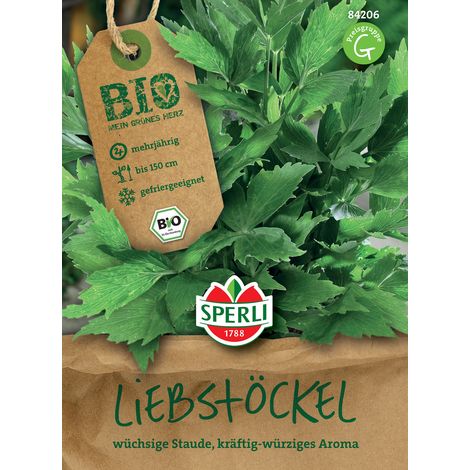Sperli Liebstöckelsamen - 1 Portion (1/3)