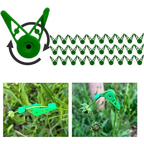 30 Pièces Plant Bender, 360 Cintreuse de Plantes, Plante Bender Branche de Fixation Clip, Convient pour Les vignes et Les Fleurs et d'autres Fournitures de Jardinage (1/5)