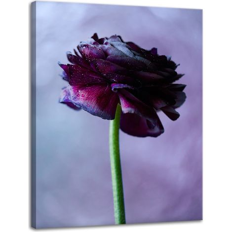 Impression sur toile Botanique Fleur violette 30x40 cm
