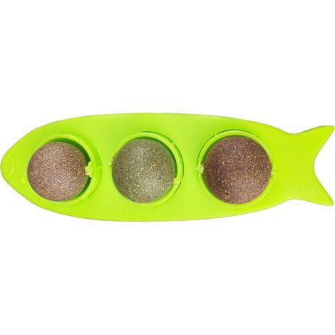 1 unité à l'herbe à chat, naturelle et comestible, pour hygiène bucco-dentaire, avec couvercle transparent et 3 saveurs (1/5)
