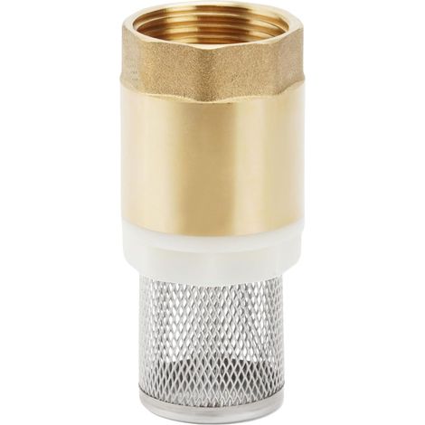 Clapet de Pied 1" Avec Clapet Anti-retour, Clapet de Pied en Laiton, Avec Crépine en Acier Inoxydable pour Pompe (1/5)