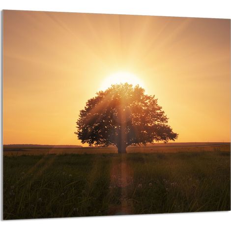 PANNELLO IN VETRO PER CUCINA 65x60 Tree (1/5)