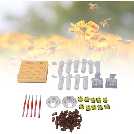 Système d'élevage de reines en plastique, kit de greffage apicole, stylo à gelée royale, boîte de culture, cupule à cellules, cage à reine, piège, clips, outils et fournitures de greffage apicole (1/5)