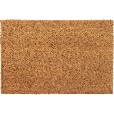 Zerbino Naturale 40x60 cm Fibra di Cocco vidaXL