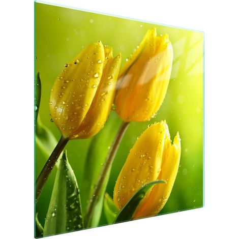 Protezione in vetro per piano cottura 50x52 cm con motivo floreale (1/5)
