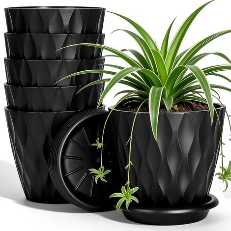 Lot de 6 Pots de Fleurs Noirs avec Soucoupes, Cache-Pots Intérieur 10cm, en PP Résistant - pour Succulentes, Herbes Aromatiques et Plantes Vertes (1/5)
