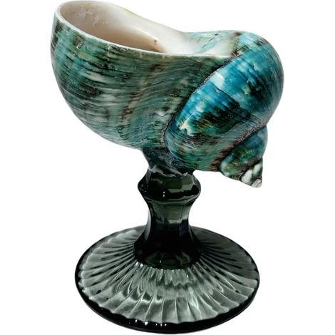 Verre à vin à pied en coquillage naturel, verre artistique en coquillage irrégulier, décoration intérieure.