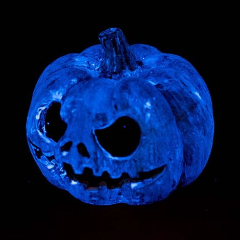 Calabaza refugio que brilla en la oscuridad Exo Terra (1/3)