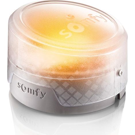 Somfy 2401584 - Luce LED arancione o bianca per la motorizzazione del cancello o del garage (1/3)