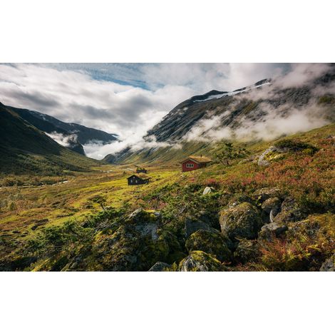 Papier peint panoramique naturel Norvège Pure (1/4)