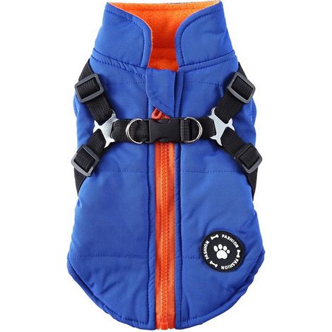 Gilet Hiver Chien - Sans Traction Intégré - Doublure Polaire Chaude - Imperméable Anti-Vent - Fermeture Éclair Arrière - Tailles XS à XXL (1/4)