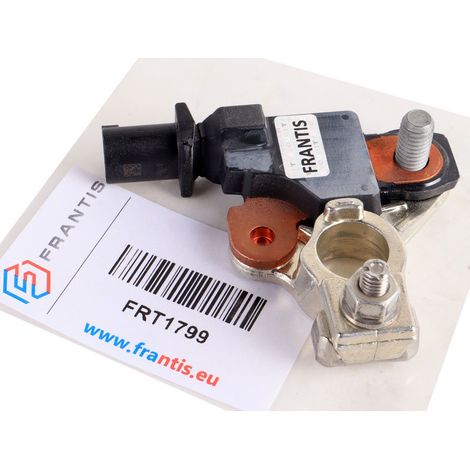 Morsetto modulo batteria Citroen Berlingo III C4 II C4 Picasso DS4 DS5 Morsetto modulo batteria Peugeot 3008 308 5008 Partner III RCZ 9802043480 (1/5)