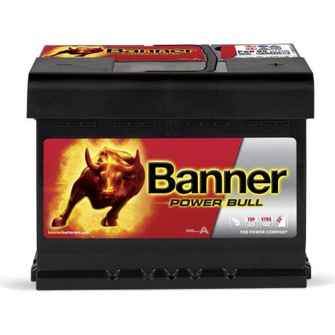 Batterie voiture 60Ah 12V P6009 – Puissance de démarrage 540A – Technologie Plomb Calcium – Compatible voitures et bateaux – Banner