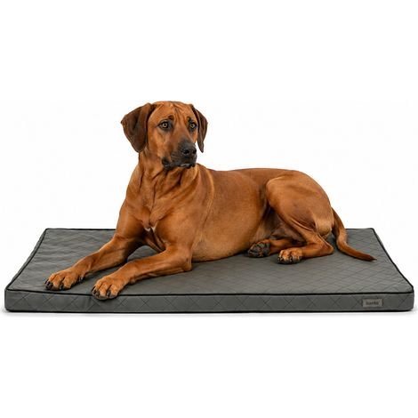 lionto Hundematte orthopädisch, druckentlastende Memory-Foam Liegefläche, rutschfeste Unterseite & abnehmbarer Bezug, 100x70 cm, grau
