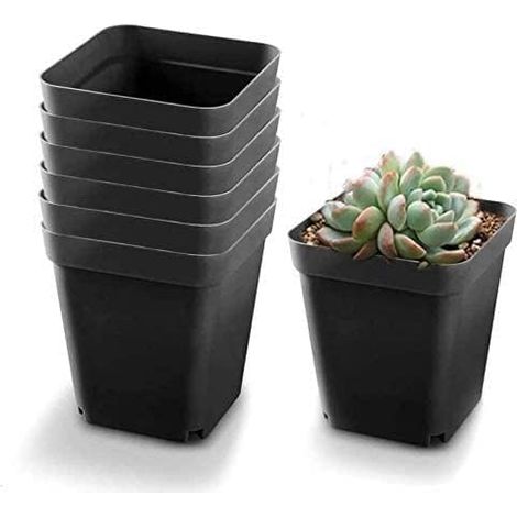 Ahlsen 50 macetas negras para plántulas – Macetas cuadradas de plástico – Maceta pequeña para interior y exterior (negro/6 x 6 x 5,5 cm) (1/5)