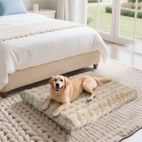 BingoPaw Dog Bed with Removable Washable Cover for Small Medium Large Jumbo Dogs - Khaki 130x110x12cm