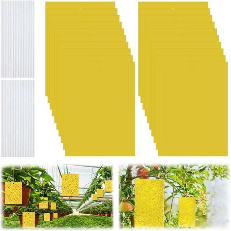 Packung mit 40 gelben Aufklebern zur Bekämpfung von Pilzmücken – doppelseitig – 20 x 15 cm – zur Schädlingsbekämpfung im Innen- und Außenbereich (1/5)