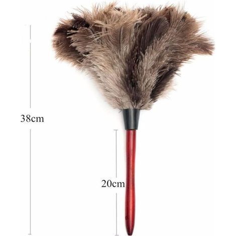 Brosse de nettoyage antistatique en plumes d'autruche, mini plumeau multifonction pour la maison, nettoyant intérieur/extérieur pour stores, clavier de cuisine, bureau intelligent (1/4)