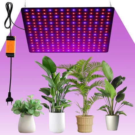 Lampe pour Plantes D'intérieur 225 LEDs 1000W Lampe de Croissance Spectre Complet con 4 Crochet Lampe de Croissance LED pour Plantes de Serre, Légumes, Fleurs (Rosso+Blu)