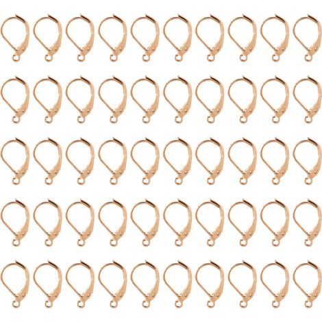50Pcs Earring Hooks Easily Wear Color Lasting French Leverback Earwires for Earring Designs DIY Jewelry (1/5)