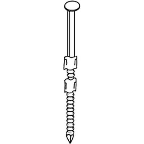 2 200 Pointes en Bande P.E 20° Annelées Inox Tête Bombée - 2.9x65 mm - D-Work (1/2)