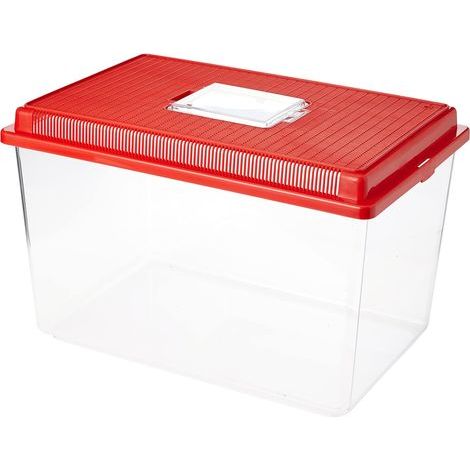 1 Conteneur Plastique, Couvercle Amovible, Grilles Ventilation, Habitat Poissons Insectes, 11 Litres (1/4)