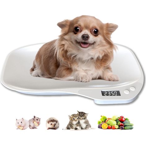 Mini balance pour animaux, pèse avec précision les petits animaux, avec affichage LED, balance de cuisine pour un usage domestique, convient aux hamsters, chats, chiens et nouveau-nés.-AquaForge (1/5)