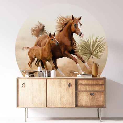 Sticker mural rond / cercle - Chevaux - Diamètre 40 cm - Adhésif + Protection BRILLANTE (1/3)