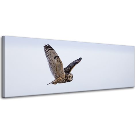 Lienzo impreso con la imagen de un búho en vuelo, 120 x 40 cm.