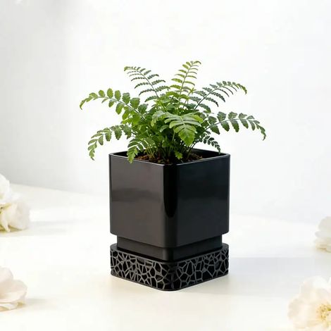 Pot de fleurs imprimé en 3D noir, vase de jardinage moderne et minimaliste pour plantes succulentes et cactus, décoration pour la maison ou le bureau (1/3)