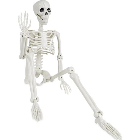 1pcs Halloween Posable Skeleton, 90cm/3ft Realistic Human Skeleton Bones Full Body Movable Joints for Halloween Props Spooky Party Decoration (1/5)