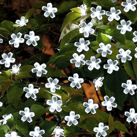 1 Guirlande lumineuse, fleurs de cerisier, LED solaire, étanche, IP44, jardin, extérieur, Noël (1/5)