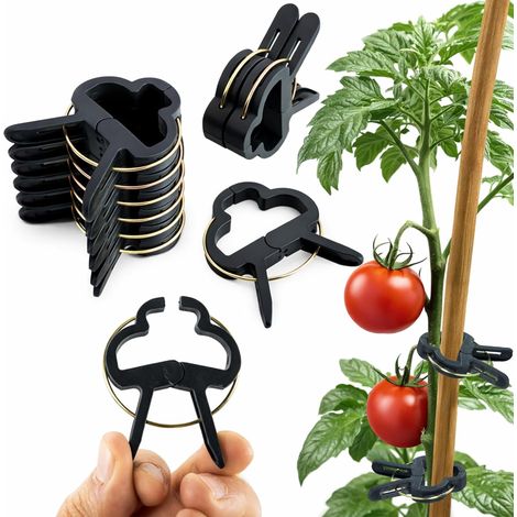 60 Clips pour Plantes (6cm) - Attache Tomate, Attache Plante, Clips Tomates Réutilisables, Support Grimpantes, Fixation Facile au Jardin