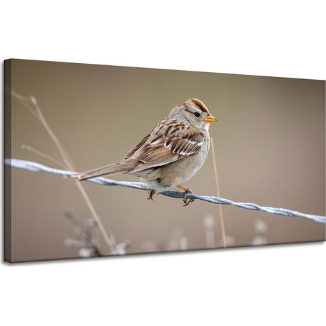 Impression sur toile Animaux Moineau 120x60 cm