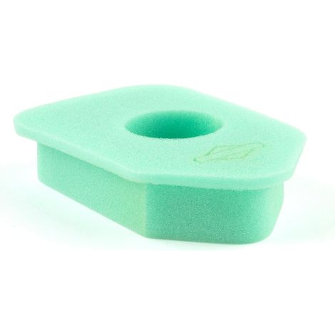 1 - Filtre à air - Mousse - Pour moteurs Briggs & Stratton - Protection contre saleté - Vert - 17,1 x 22,9 x 0,6 cm (1/4)