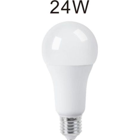 Lampadina Led 24W Luce Naturale E27 A65L Bulbo Bianco Opaco (1/5)