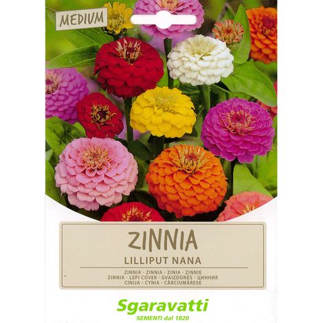 SEMI PER PRATO UNIVERSALE fior di zinnia lilliput nanna Q.TA 20 fior di zinnia lilliput nanna
