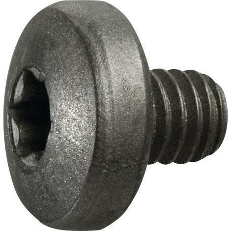Vite di serraggio misura T15 per RDHX 12T3 ... per fresa a inserti rotondi PROMAT