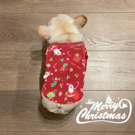 Costume De Noel Pour Animal De Compagnie - Chien Chat - En Tissu Extensible Respirant - Lavable - Taille Unique (1/5)