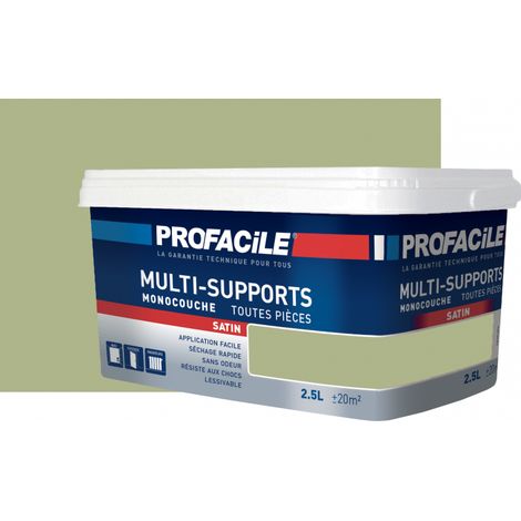 Peinture murale satin 2.5L – Sans odeur – Pour murs, plafonds, boiseries, radiateurs – Séchage rapide 30 min – Rendement 8 m²/L - AFB58B