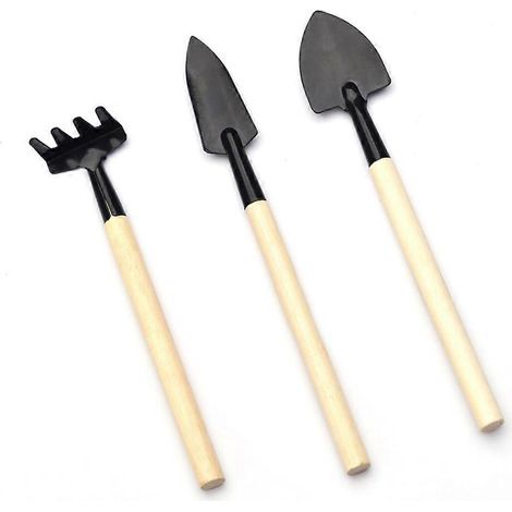 Ensemble de 3 mini-outils de jardin : petite pelle, bêche et calculatrice pour plantes succulentes. (1/5)